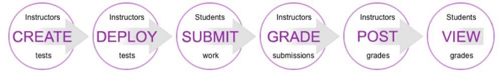 Testing Process